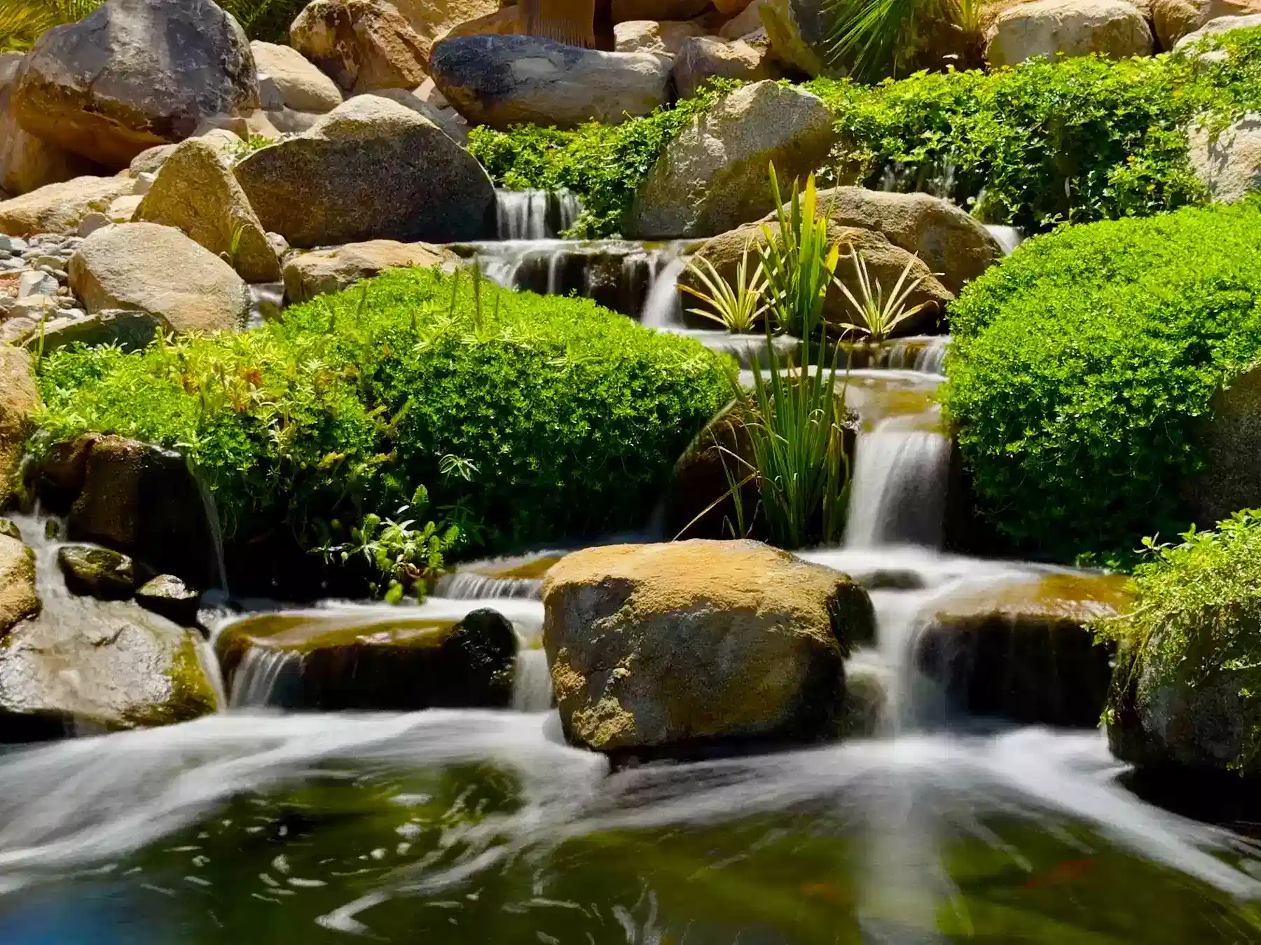 pond waterscape