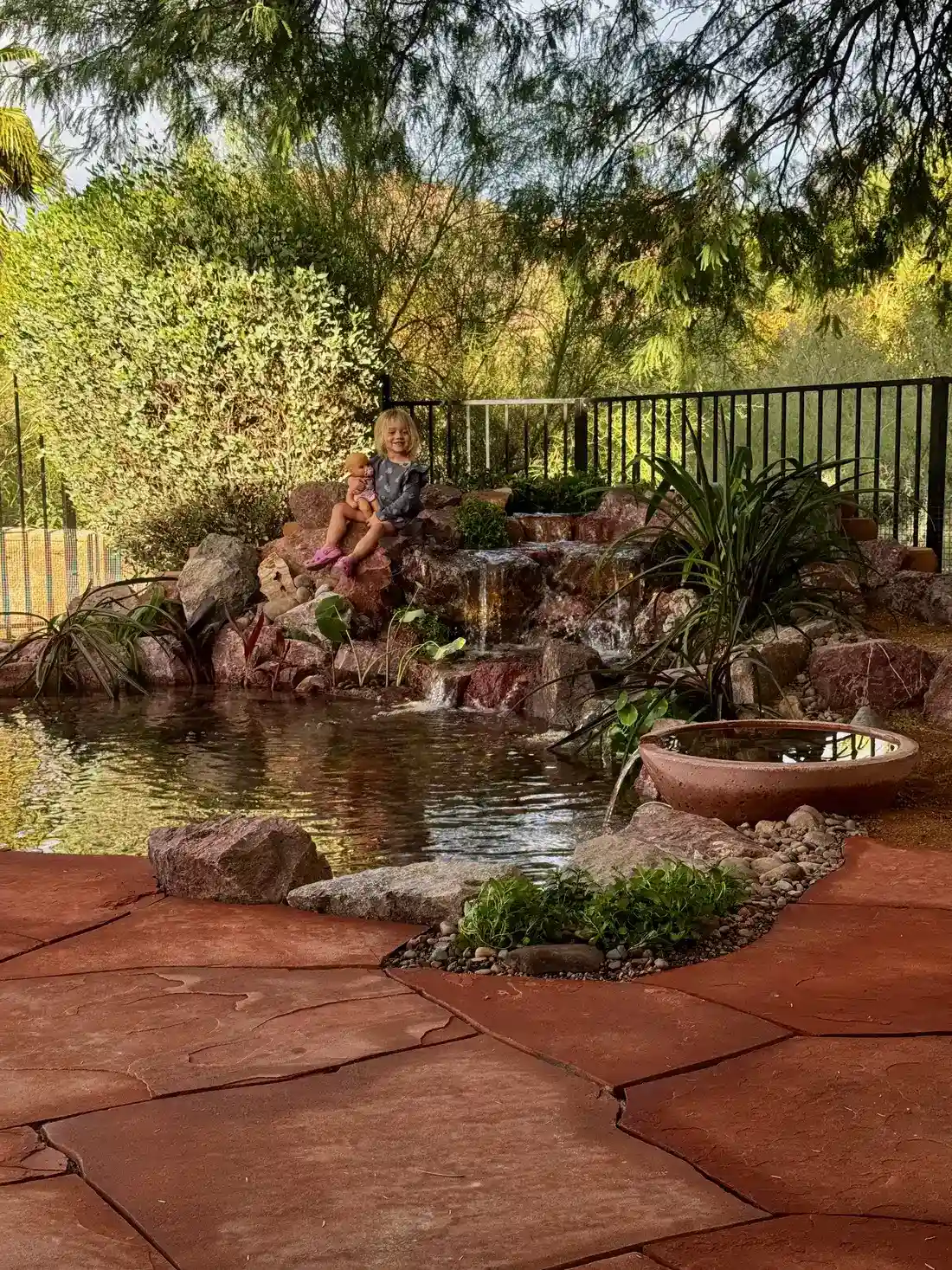 pond waterscape