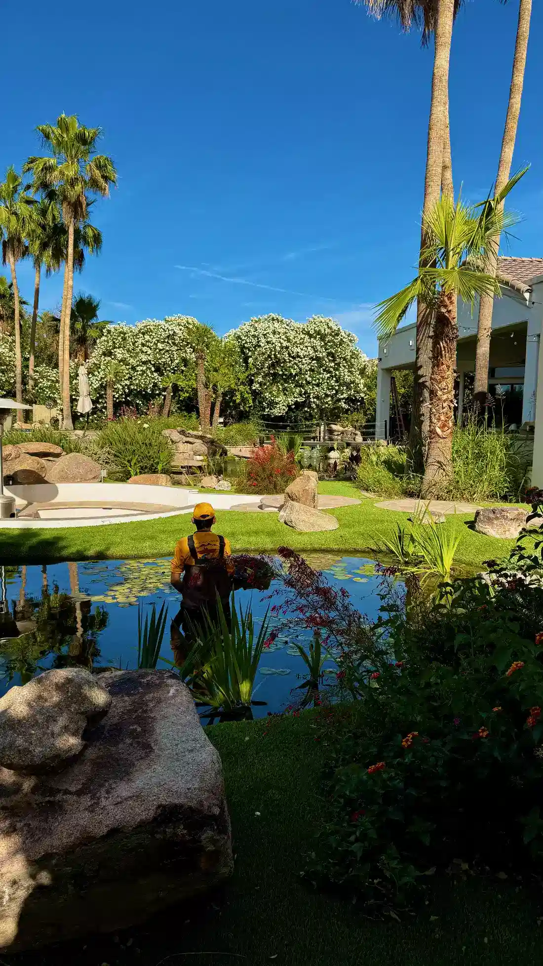 pond waterscape
