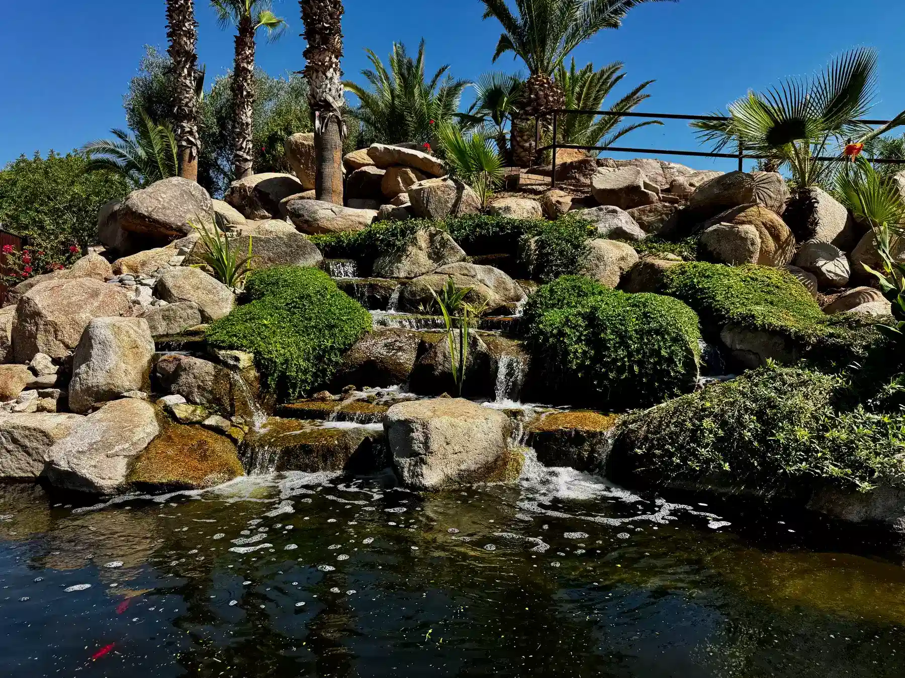 pond waterscape