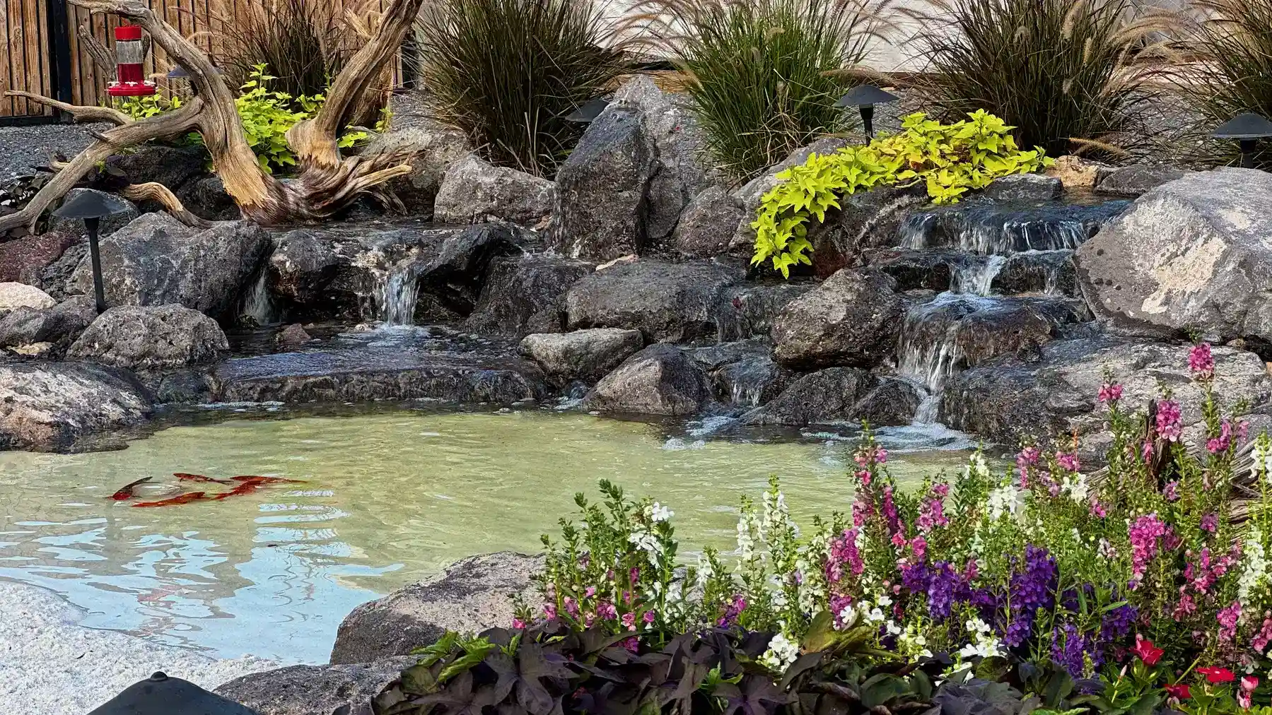 pond waterscape