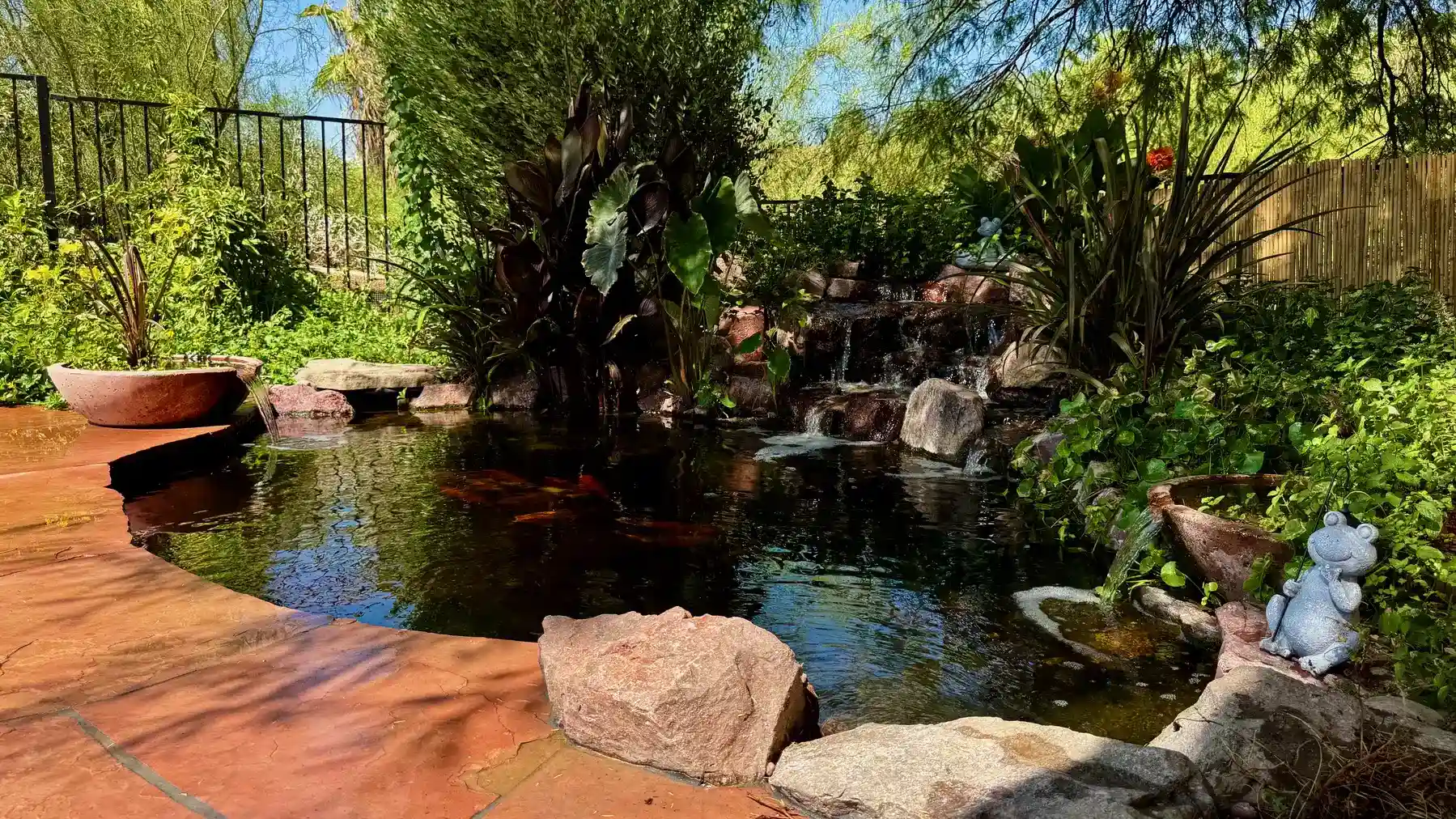 pond waterscape