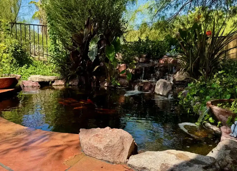 pond waterscape