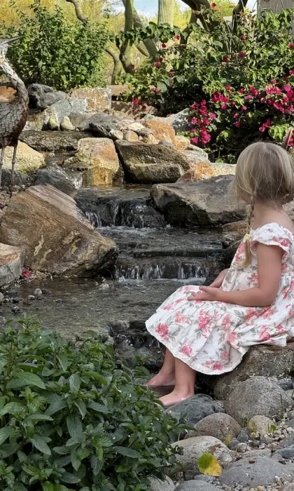 backyard ponds