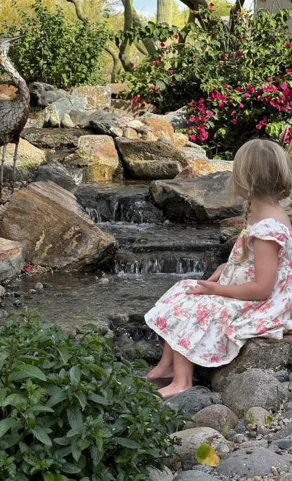 backyard ponds